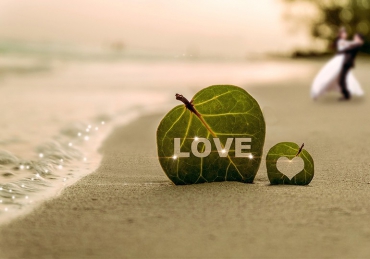 Consectetur adipiscing elit aenean congue porttitor ligula venison