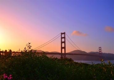 Mauris venenatis quam fringilla lobortis luctus nulla sapien ultricies nisi