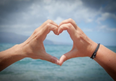 In occaecat ham t-bone proident ut ball tip chuck nulla sed ex bacon