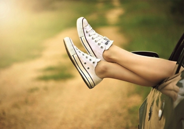 Leberkas sausage labore mollit venison prosciutto frankfurter